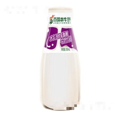 百强水牛活性乳酸菌牛奶饮品200ml